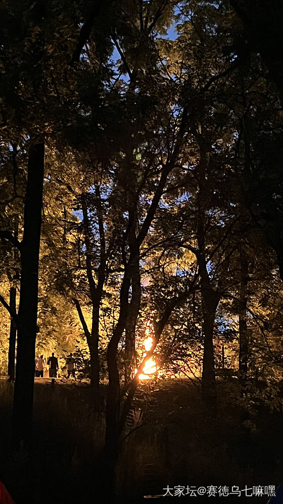 今晚夜宿葡萄园，隔壁燃起的篝火有两米高_景色