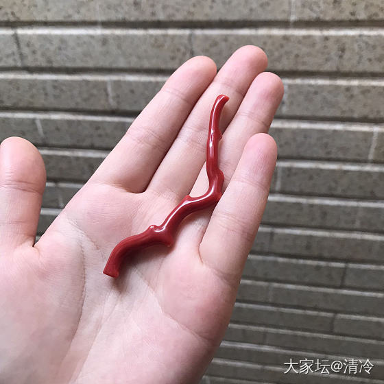 在途的赤血红极品珊瑚_珊瑚