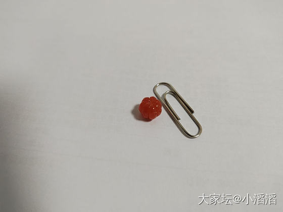 南瓜珠_福利社南红
