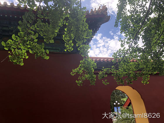 今天的左右手_青金石和田玉