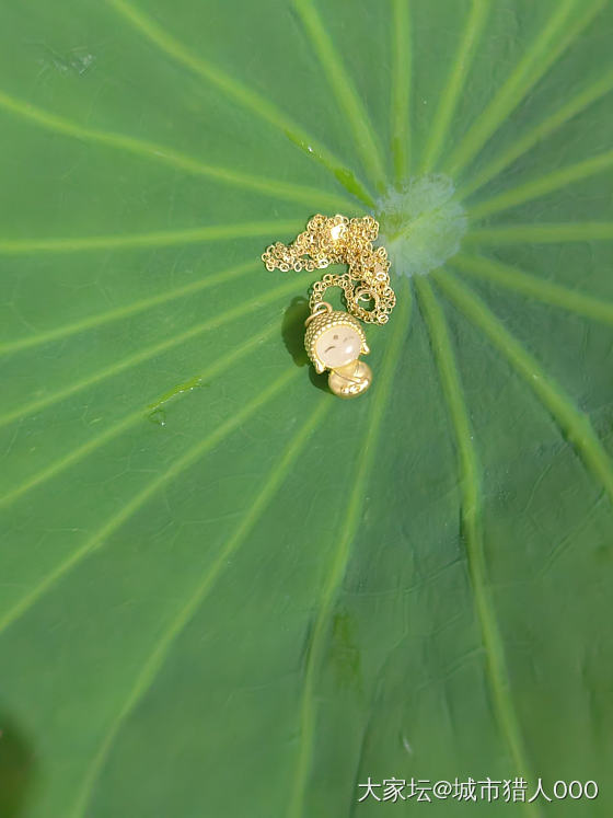 精致的小礼物_金