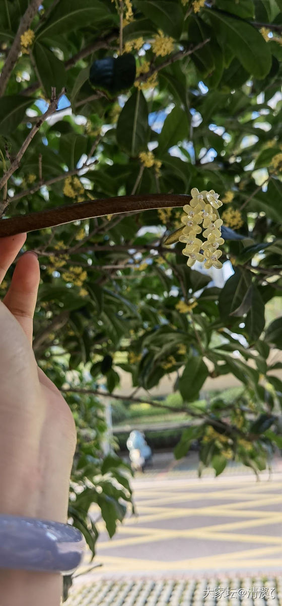 求推荐一些发簪_簪子闲聊