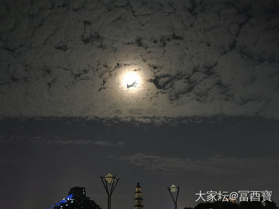 目光所及，遥祝佳节！_节日