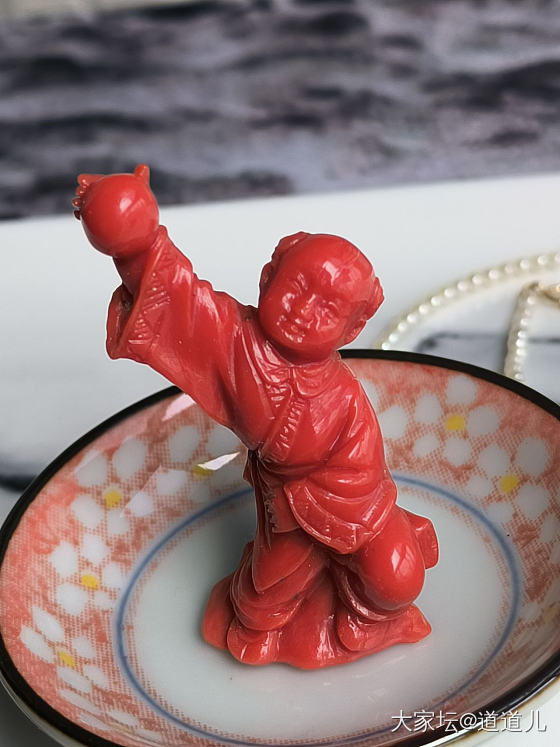 红童子太赞了_珊瑚