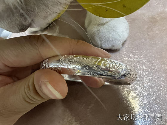 订的猫蝶镯子到了_手镯银