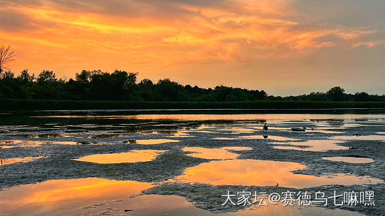 一人一鸟守着那份宁静_景色