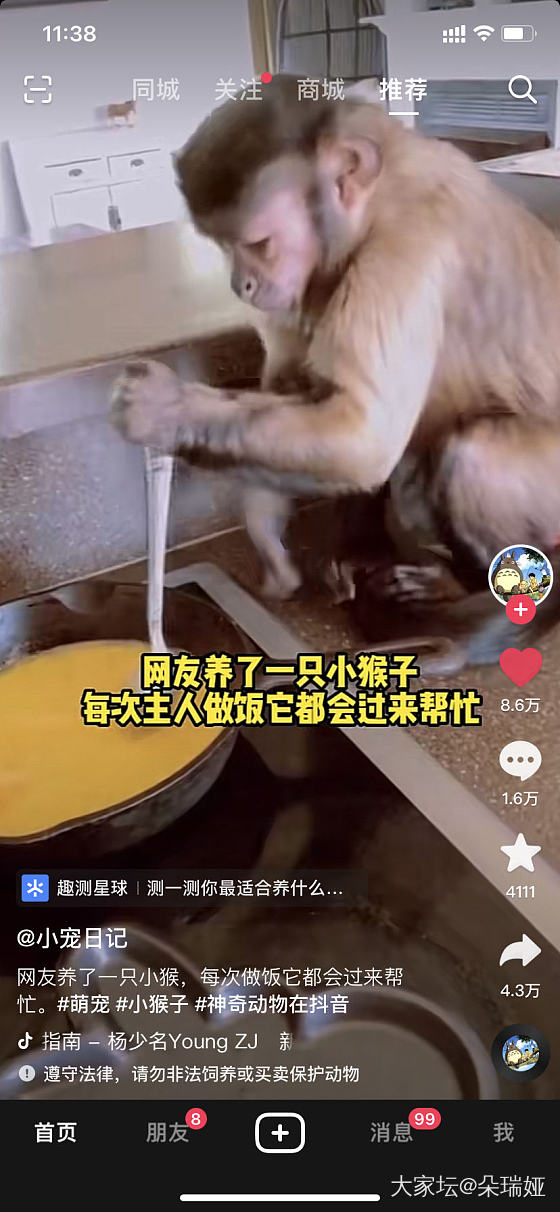 这只帮做家务的小猴子打败了多少成年人啊。。_猴