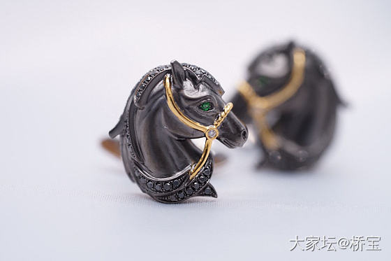 男士的浪漫珠宝—骑士袖口纽扣_首饰