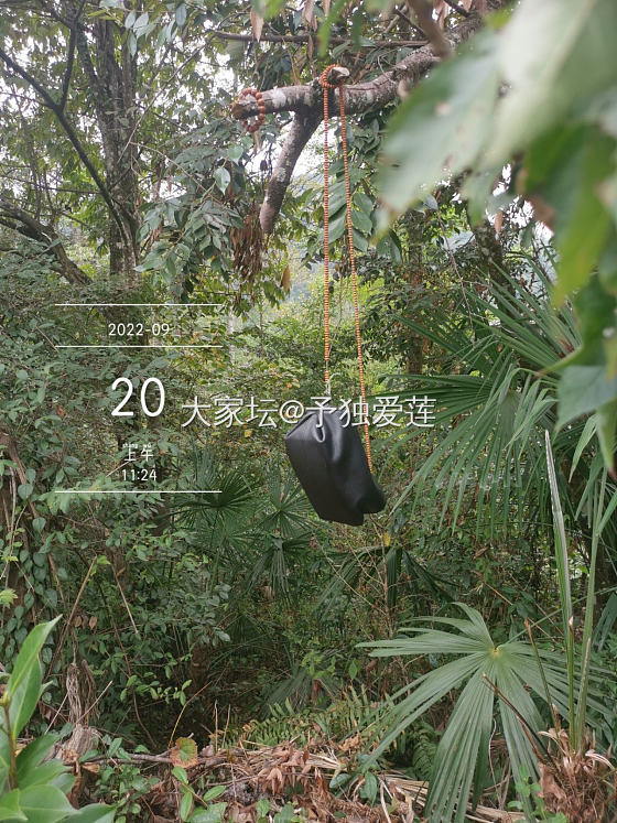 大自然盘串可以不？_文玩松石