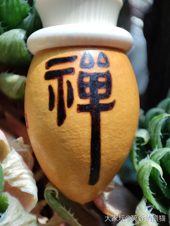 禅蟾_收藏