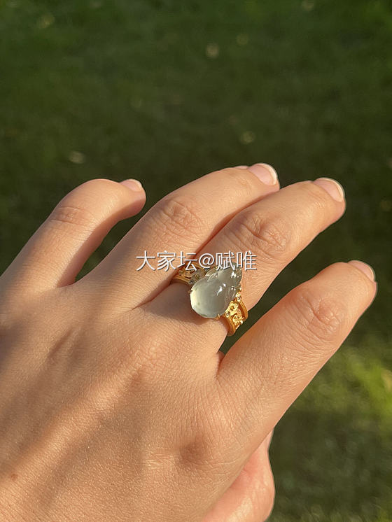 小金蟾在指尖_翡翠