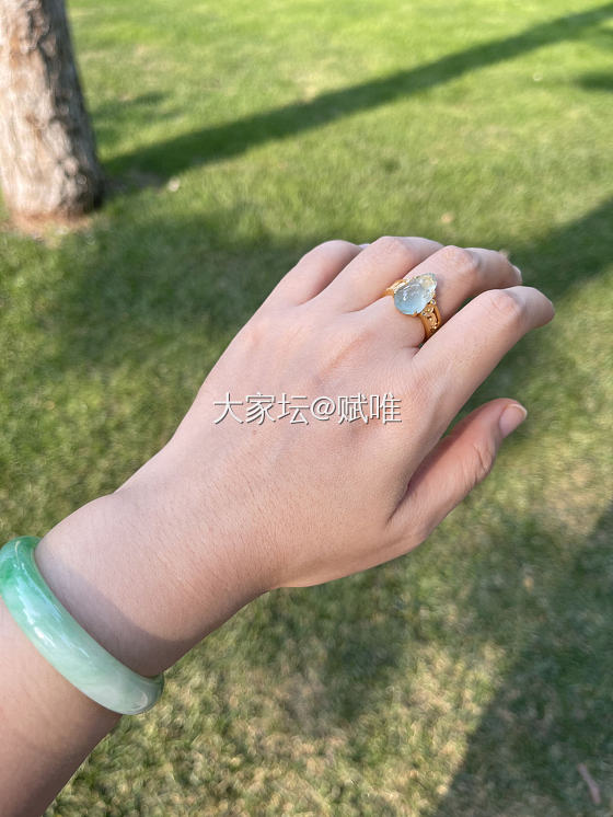 小金蟾在指尖_翡翠