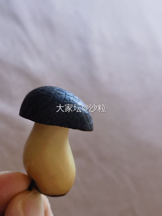 小香菇_雕刻文玩