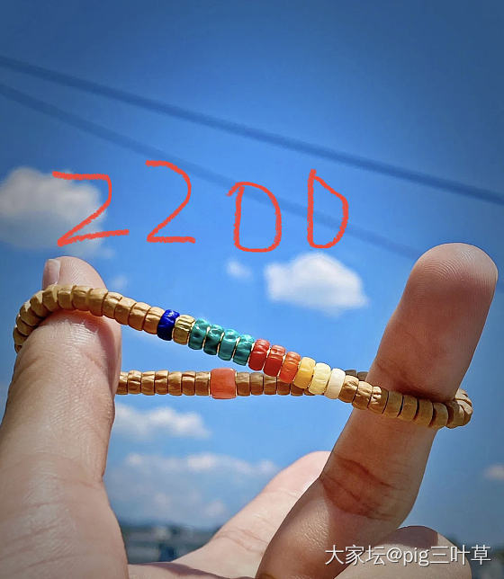 百香籽刺客_文玩