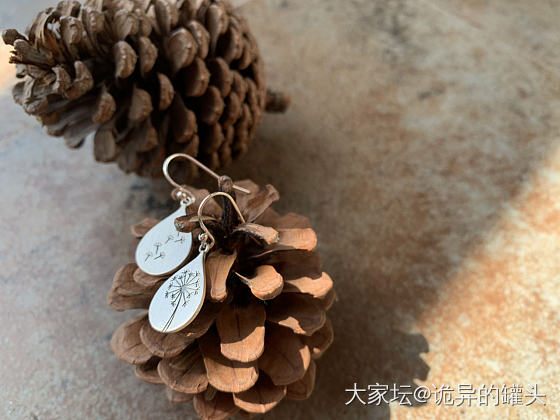 蒲公英银耳环_耳饰银
