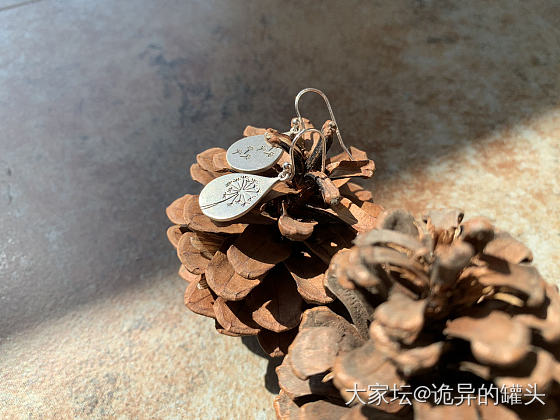 蒲公英银耳环_耳饰银