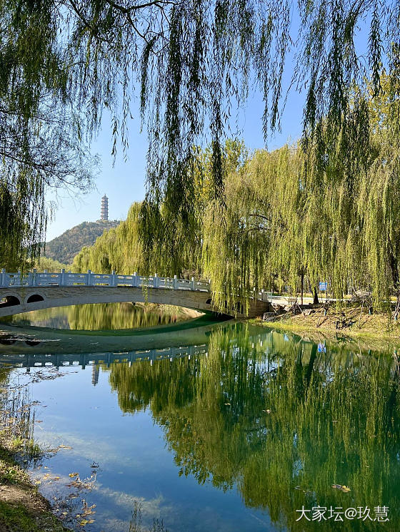 秋天，有看不完的风景，品不完韵味！🍁_坛友风采