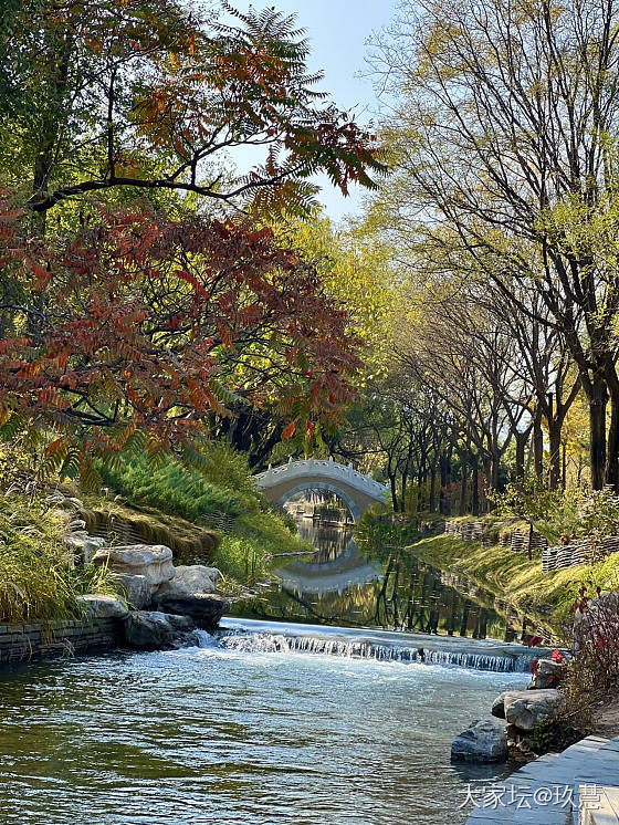 秋天，有看不完的风景，品不完韵味！🍁_坛友风采