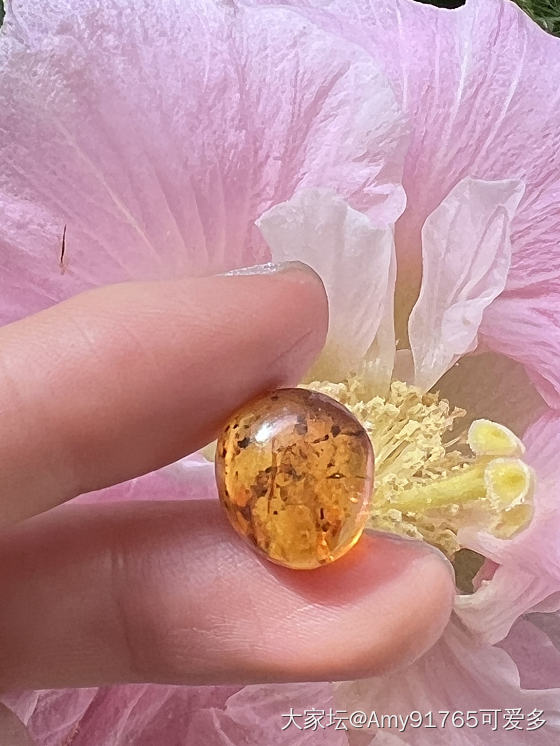 琥珀蜜蜡活水胆系列篇-缅甸珀_琥珀蜜蜡