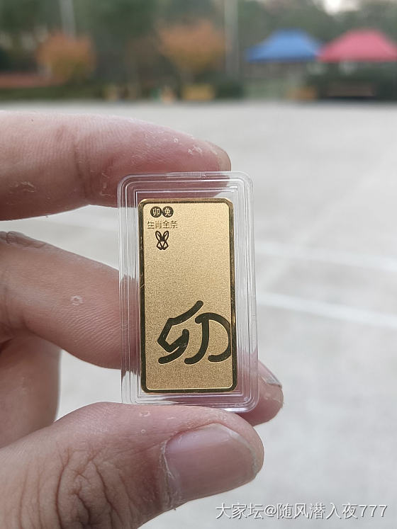 3934又入金九九小金条一只_金