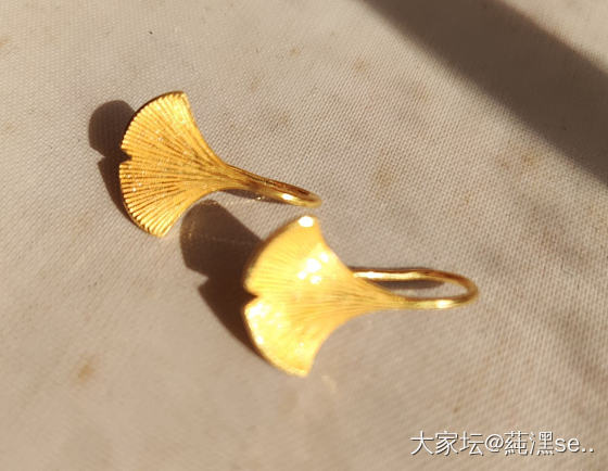 校长家团的不老女神金币和银杏叶耳坠_金
