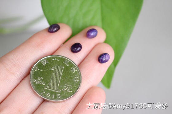 秀秀多年前买着玩的小舒_舒俱来