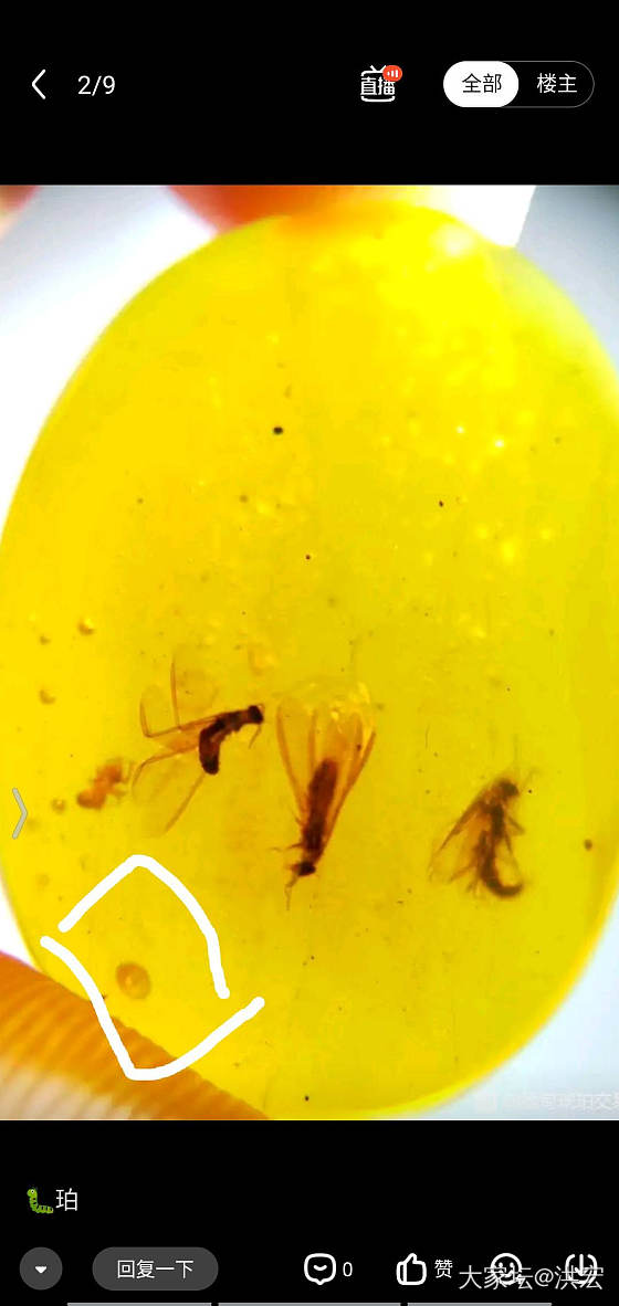 琥珀蜜蜡琥珀包裹体研究_琥珀蜜蜡