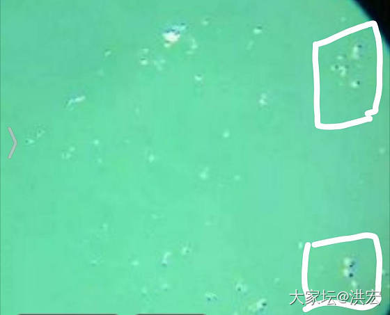 琥珀蜜蜡琥珀包裹体研究_琥珀蜜蜡