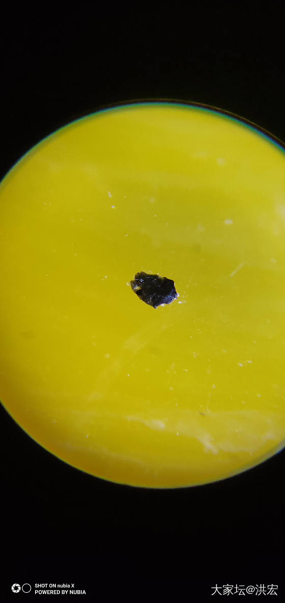 琥珀蜜蜡琥珀包裹体研究_琥珀蜜蜡