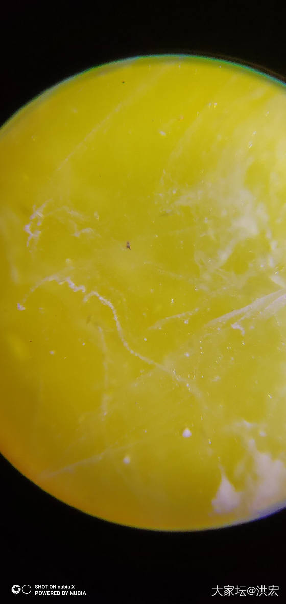 琥珀蜜蜡琥珀包裹体研究_琥珀蜜蜡