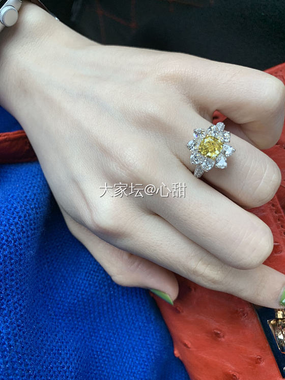周末出行的坛友风：有金有钻_钻石金