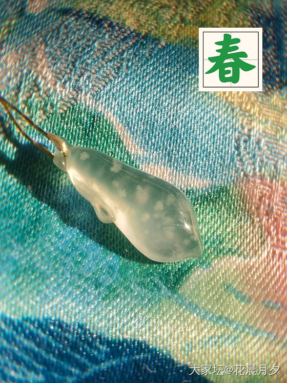 雪花棉的四季😎_翡翠