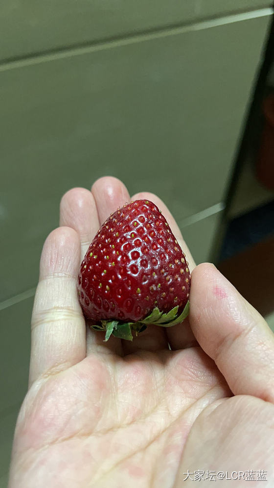 草莓🍓🍓🍓_水果