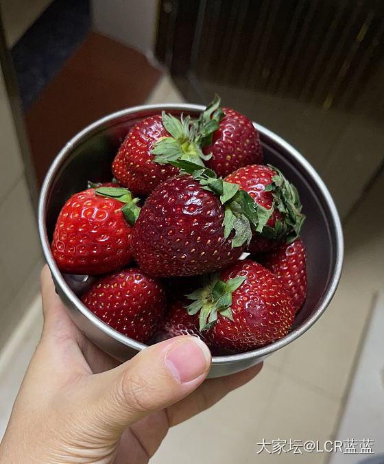 草莓🍓🍓🍓_水果