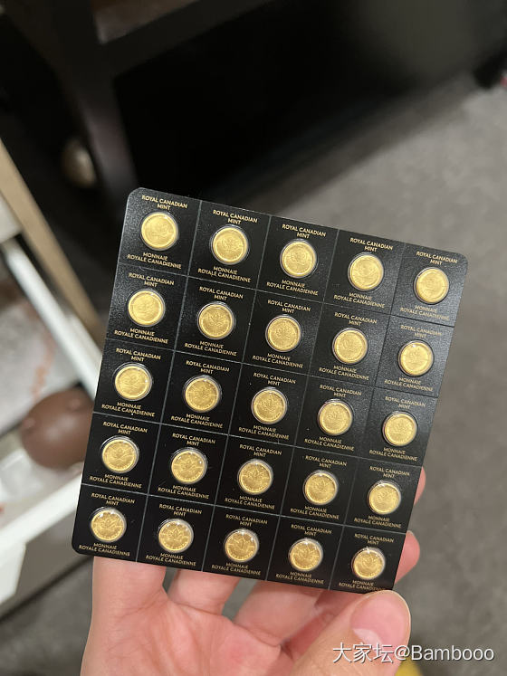 金币收集🆕加拿大枫叶币25x1g_金币金