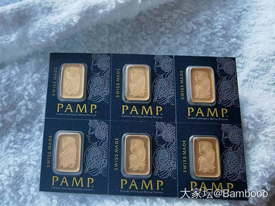 财富女神pamp人在美国🇺🇸购入25x1g_金