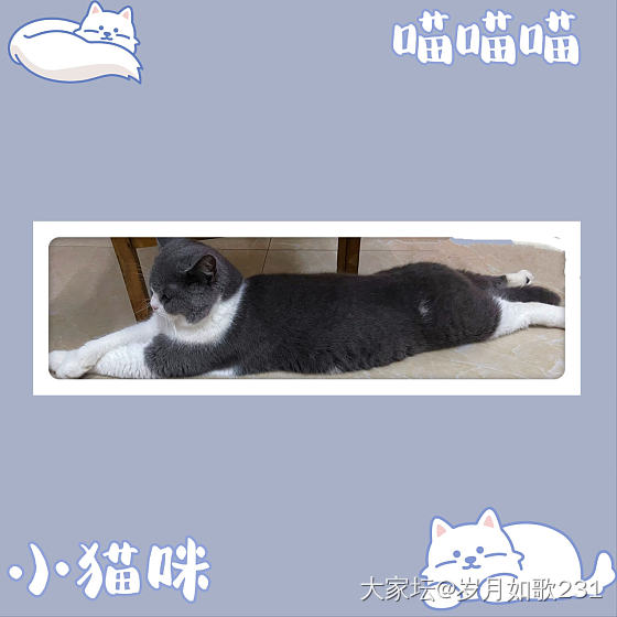 🐱和喵镯～_首饰银