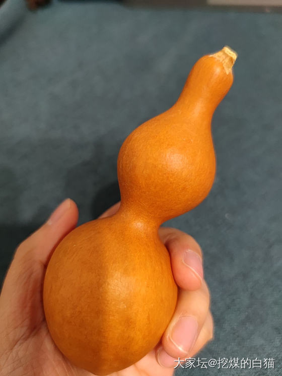 旧爱&新欢&赠品_葫芦文玩