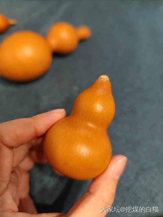 旧爱&新欢&赠品_葫芦文玩