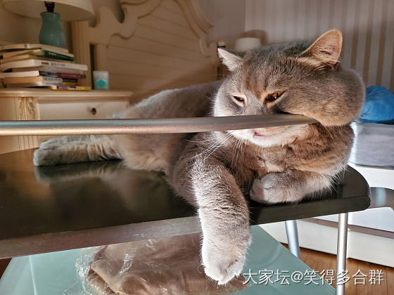 洗洗眼睛晒宝贝_金