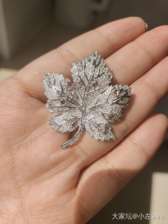 年底了，能晒一晒你最漂亮的珠宝首饰是哪一个吗？_首饰