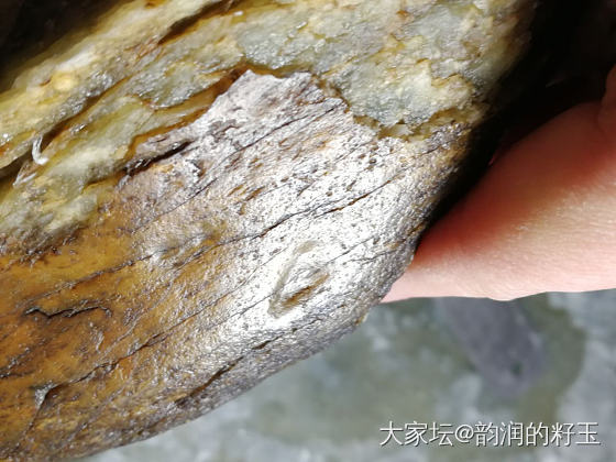 籽料里面的稀有品种………_和田玉