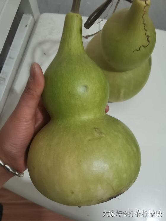 回乡下摘了两个葫芦，不知道怎么搞，这玩意儿不打皮可以盘玩吗_葫芦