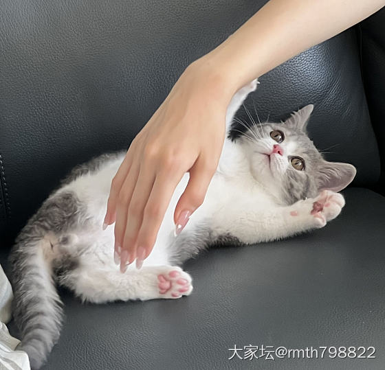 女儿和猫_猫