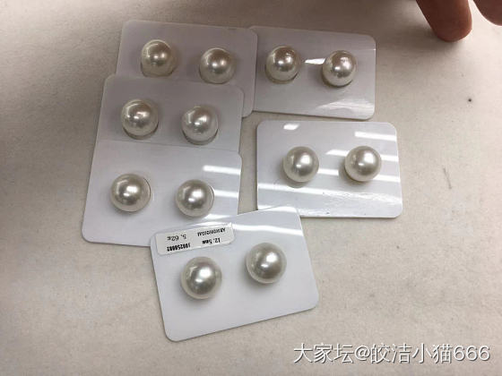 姐妹们，帮出主意，关于澳白_珍珠