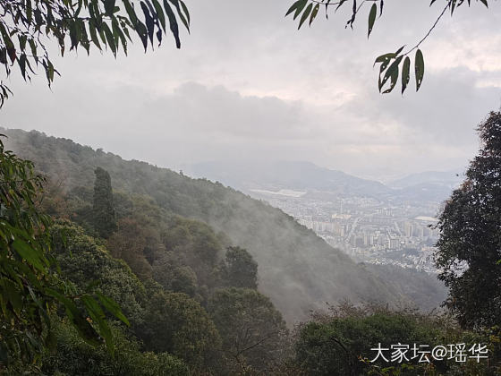 有意境的石头，_原石和田玉