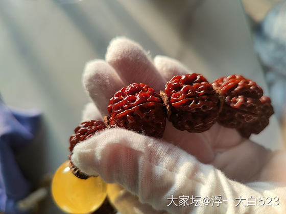 小金刚泡水_菩提子