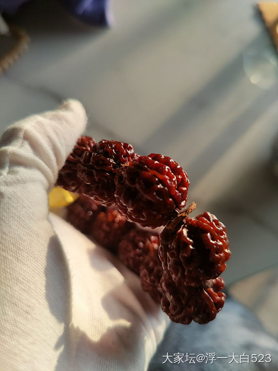 小金刚泡水_菩提子