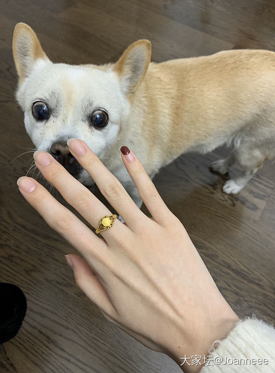 妈妈的结婚戒指～_戒指金