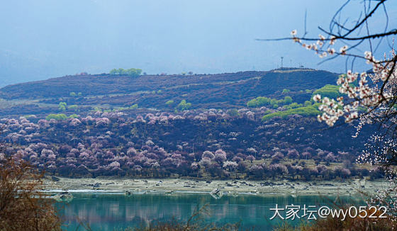 旅游计划三选一，毕节 林芝 鼋头渚_旅游